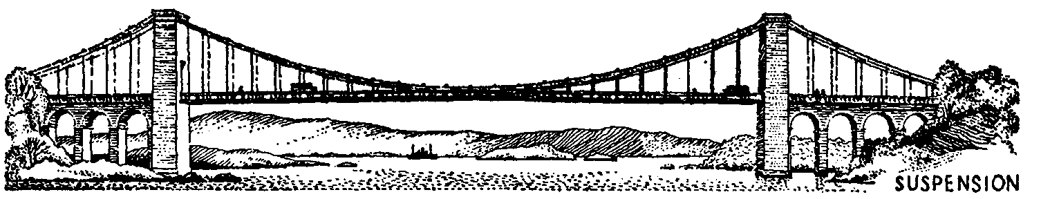 Bailey Suspension Bridge  (3)