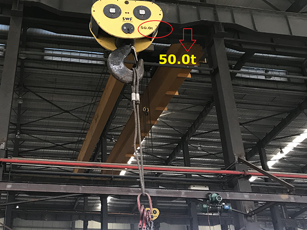 Workshop crane 50Tons